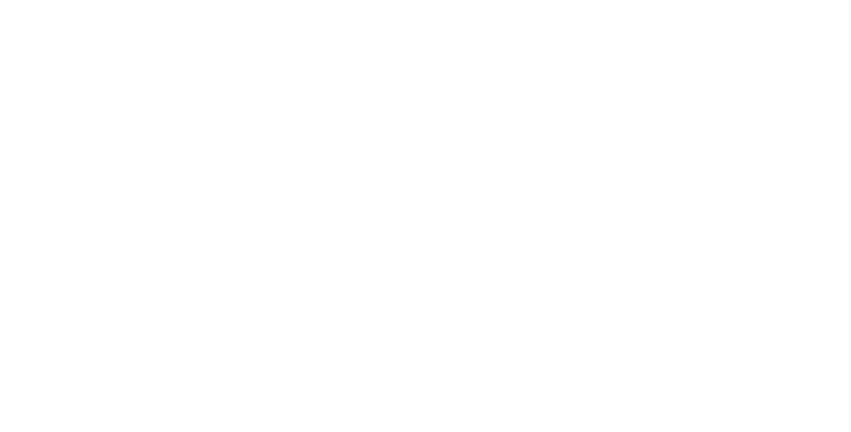 Vold Logo